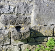 GARGOULE