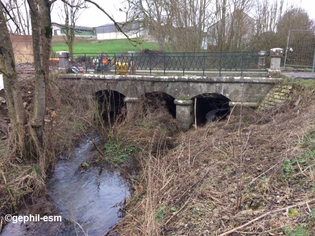 pont