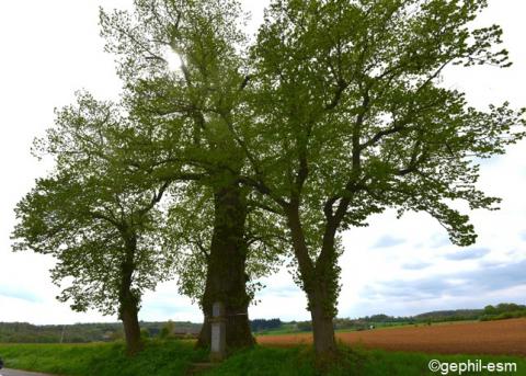 Potale Saint Anne  Franchimont