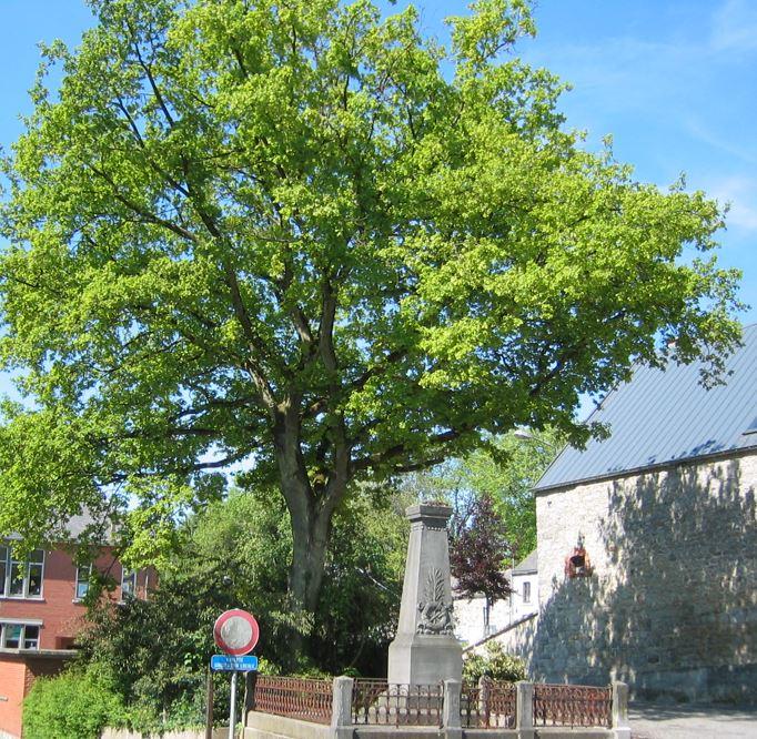 monument commémoratif Merlemont