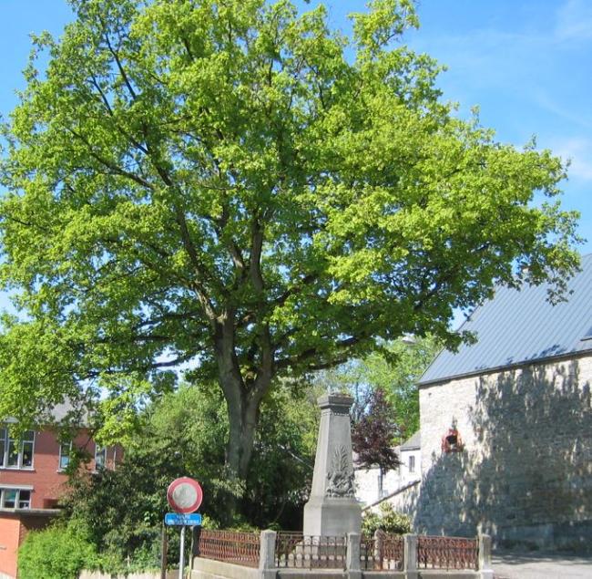 monument commémoratif Merlemont